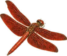 Crimson Dropwing