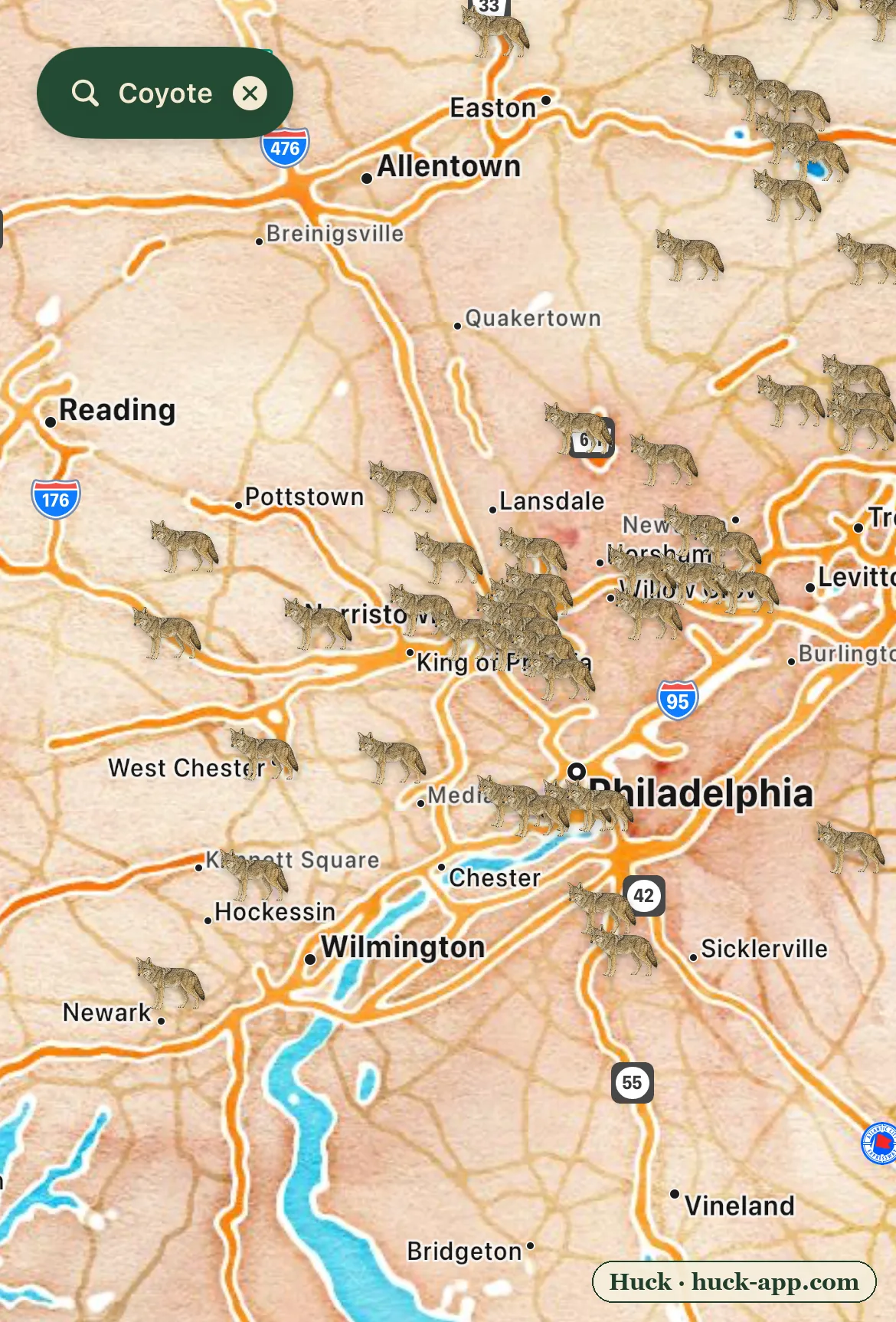 Illustrated map of the Philadelphia metro area showing coyote sightings throughout the city, suburbs, and surrounding counties into New Jersey and Delaware