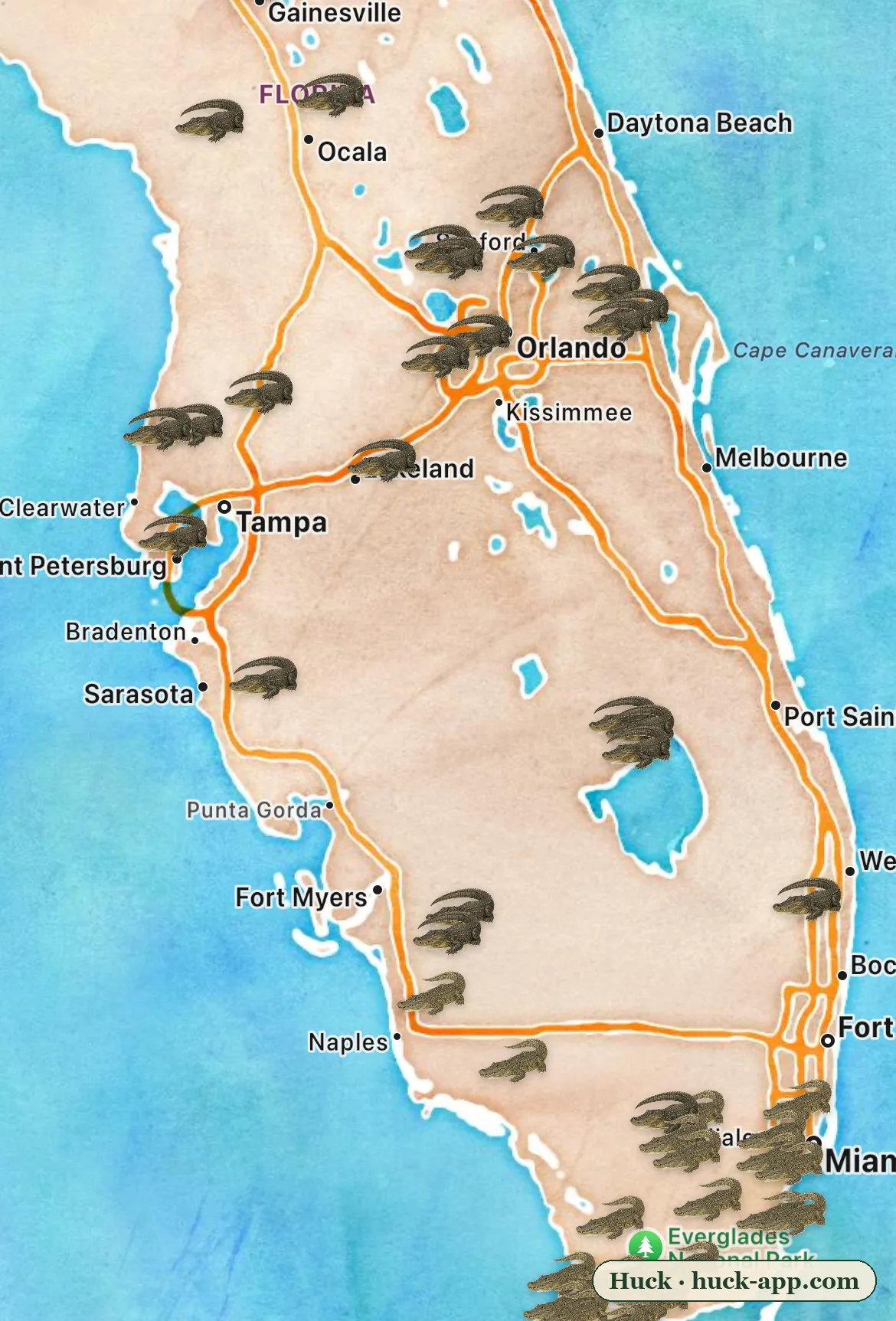 Illustrated map of the Florida peninsula showing alligator sightings spread across the whole state and American crocodile sightings clustered at the southern tip around the Everglades, Florida Bay, and Miami