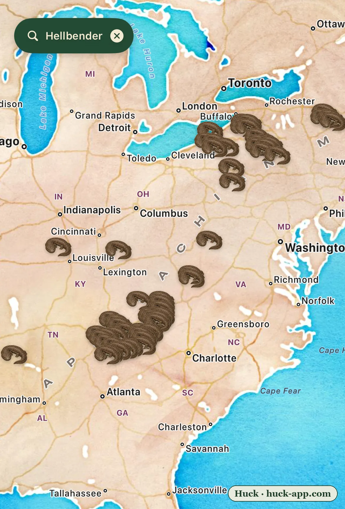 Illustrated map of the eastern United States showing hellbender sightings concentrated along the southern Appalachians and the Allegheny, scattered through the Ohio and Tennessee valleys, absent from the lowlands