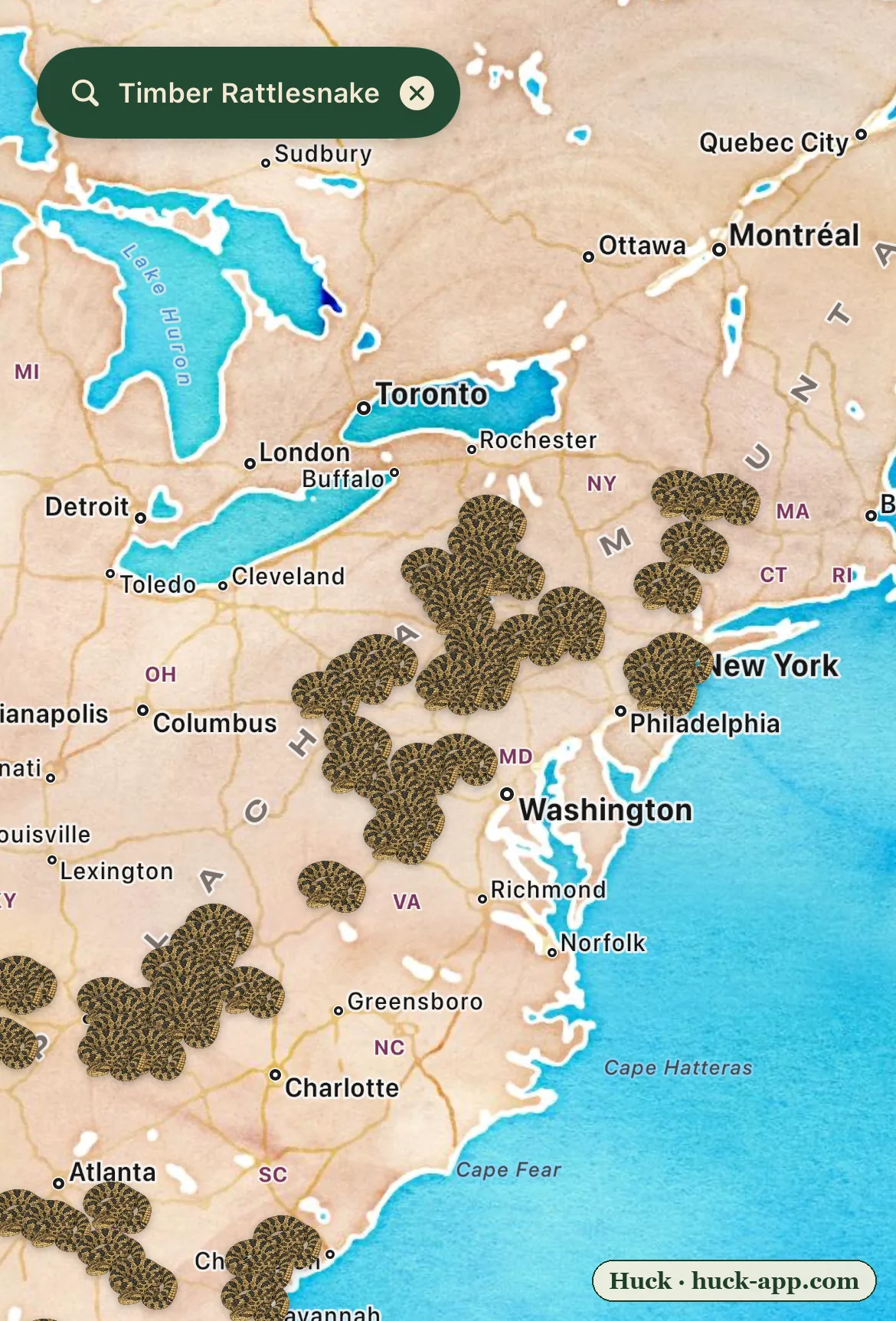 Illustrated map of the eastern United States showing timber rattlesnake sightings confined to the Appalachian ridgelines, absent from the coastal plain and the far Northeast