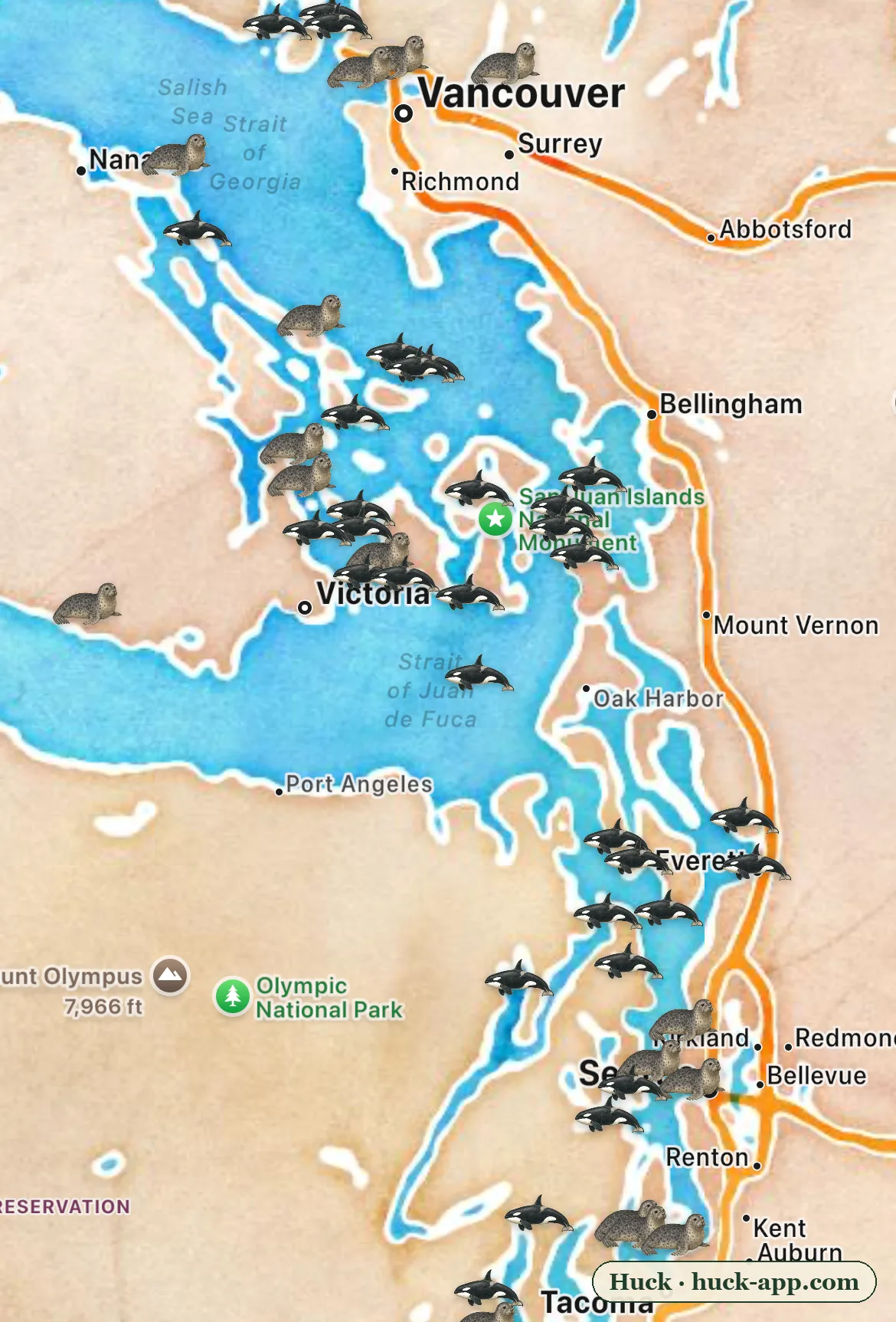 Illustrated map of the Salish Sea from Vancouver to Tacoma showing killer whale and harbor seal sightings threaded together through the San Juan Islands, Haro Strait, and Puget Sound