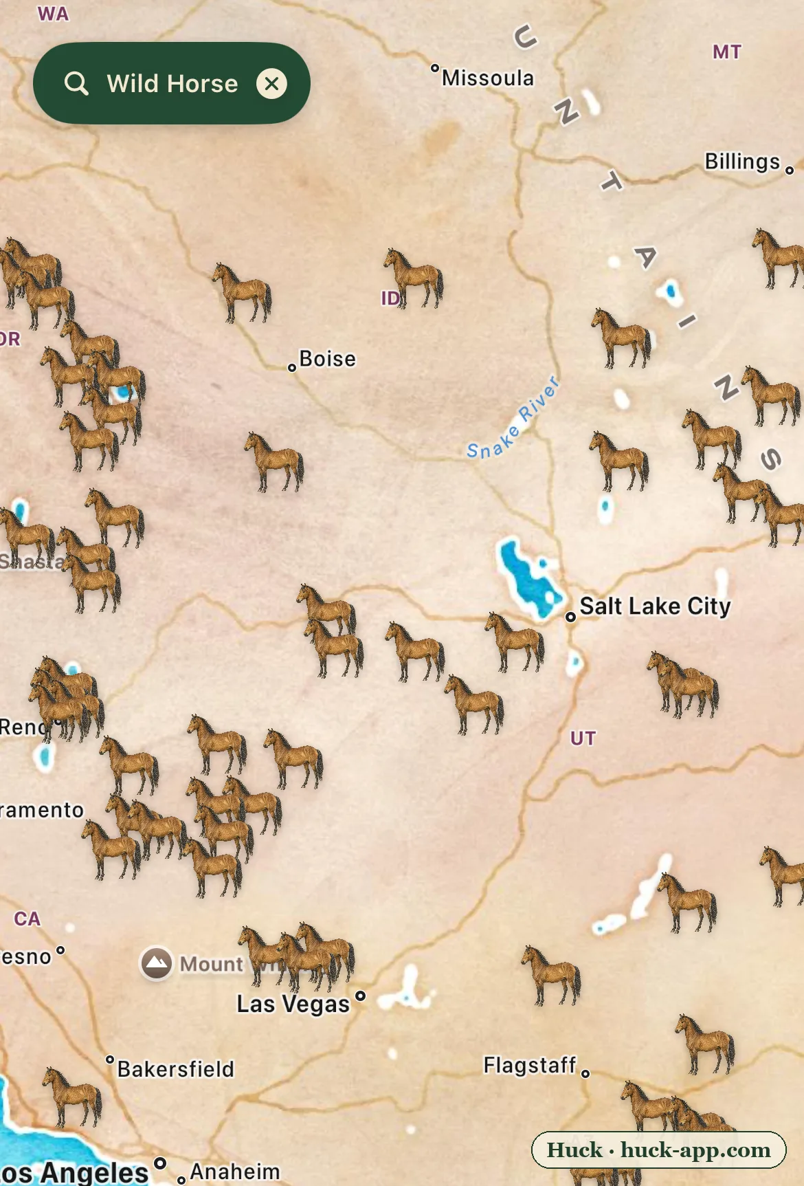 Illustrated map of the American West showing wild horse sightings blanketing the Great Basin across Nevada, Utah, Oregon, Idaho, and Arizona