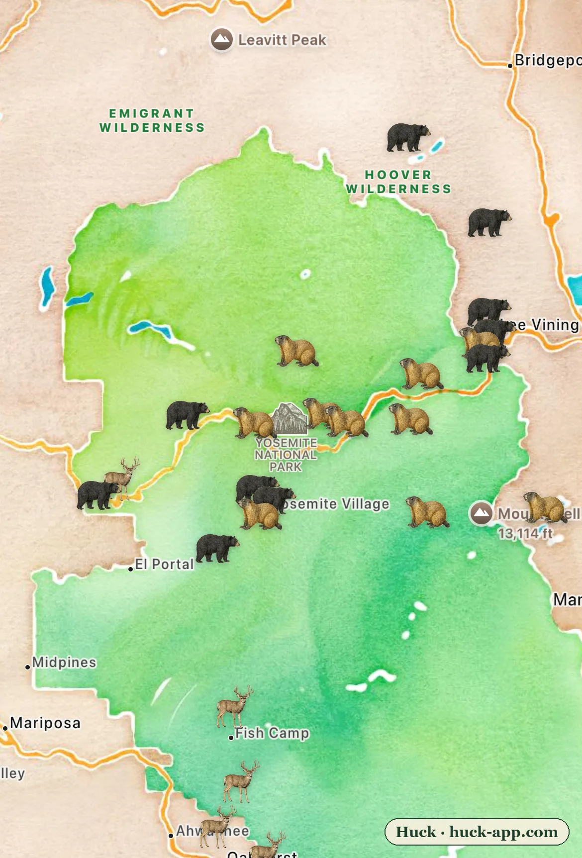 Illustrated map of Yosemite National Park with the park shaded green, showing black bear sightings along the Tioga Road corridor, yellow-bellied marmots in the high country, and mule deer near the southern entrances