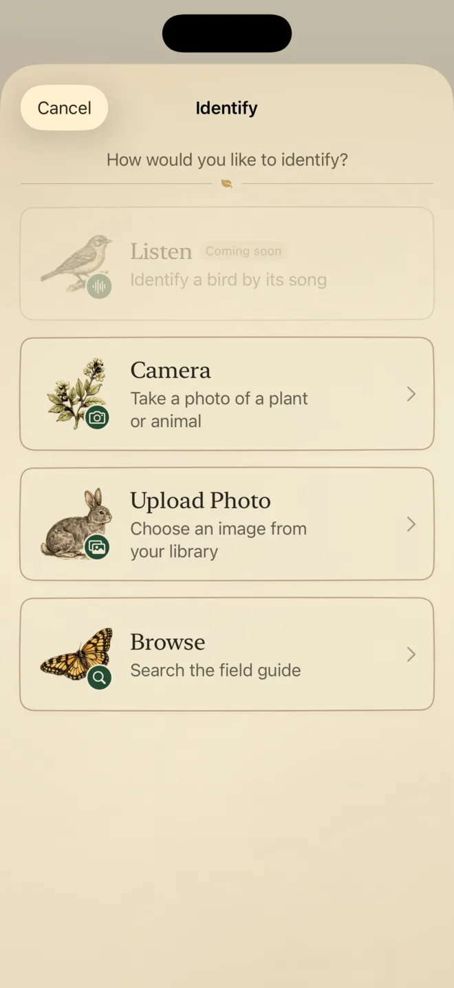 Huck app screenshot: Identifying a find